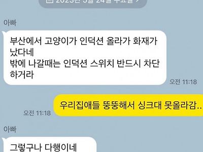 고양이가 있어도 인덕션이 안전한 이유