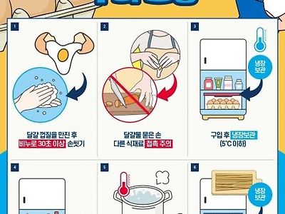 달걀 취급 시 주의 요령