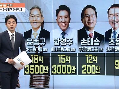 대전 하나시티즌 구단주 함영주 회장 보수현황