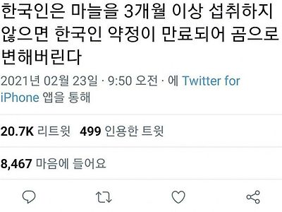 한국인이 마늘을 계속해서 섭취하는 이유