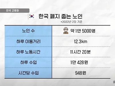 폐지 줍는 노인 하루 수입