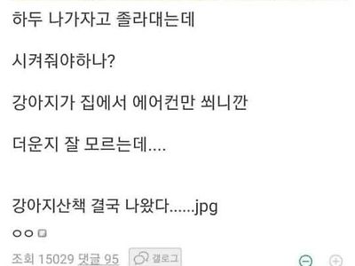 에어컨 바람만 쐬다가 더위를 맛본 개 ㅋㅋㅋ.jpg