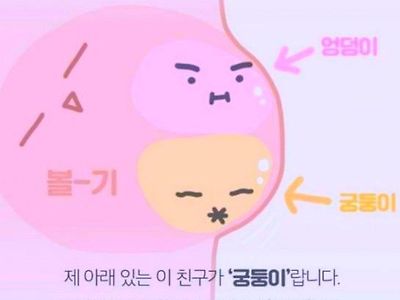 엉덩이와 궁둥이 차이