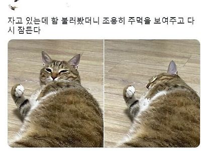 한 주먹거리가 까부냥