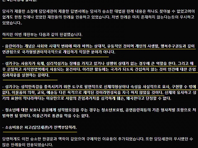 리얼돌 수입 관련 추가 승소