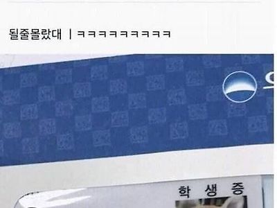 댕댕이 신입생