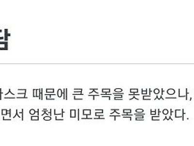 나무위키에 마해자(마스크피해자) 항목이 있는 치어리더