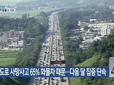 고속도로 사망사고 65%의 원인