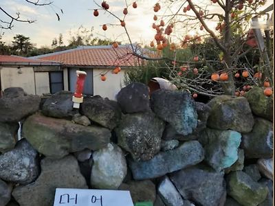 요즘 시골 인심