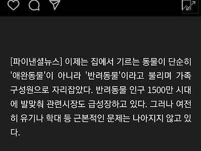 연휴때면 버려지는 동물들