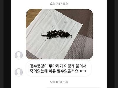 곤충 유튜버도 난생 처음본 상황