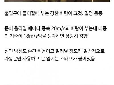 일본 도쿄돔에서만 할 수 있는 경험