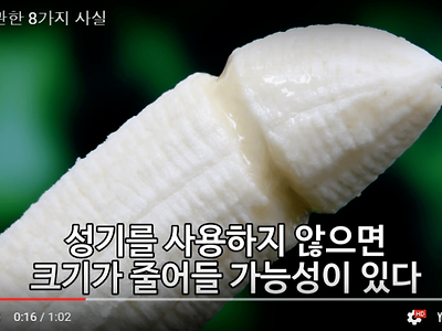 ㅅㅅ를 해야하는 이유.jpg