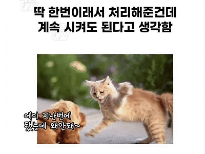 직장상사가 흔히 하는 착각