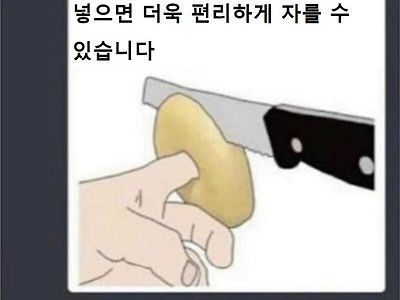 베이글 자를때 팁