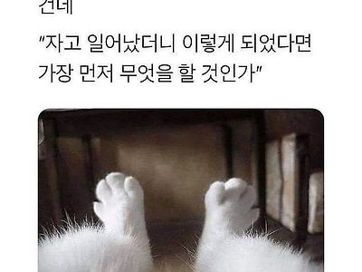 실제 구글 입사면접 질문