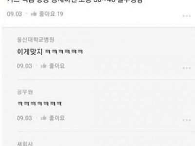 직장인 실수령 월급