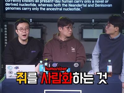 쥐가 사고를 한다면
