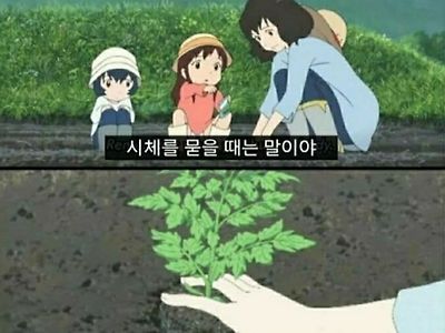 시체를 효과적으로 묻는 법