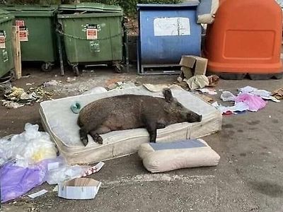 반찬 주러 자식 자취방에 온 엄마 시점