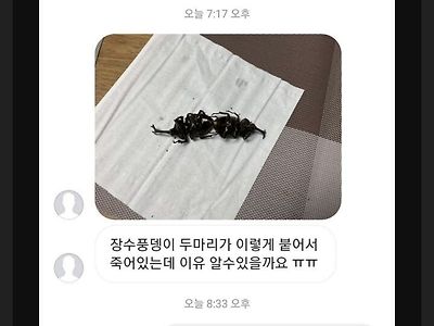 곤충 게ㅇ 섹ㅅ 대참사