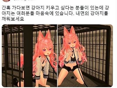 강아지 쉽게 키우는 방법