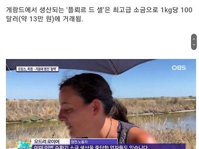 현재 프랑스의 소금장수 우산장수 이야기