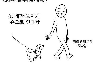 개를 소심하게 좋아하는 사람들 특징