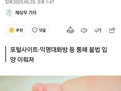 온라인 불법입양 실체..