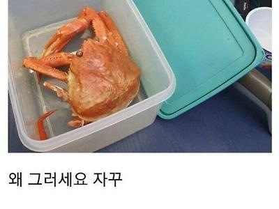 편의점이 인간 삼라만상 집합체인 이유