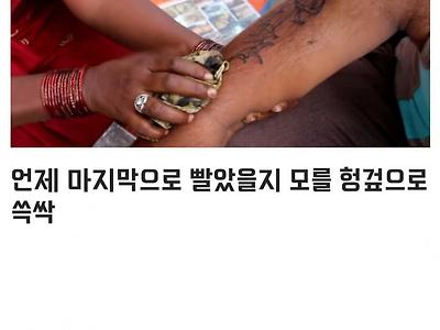 인도의 길거리 타투...