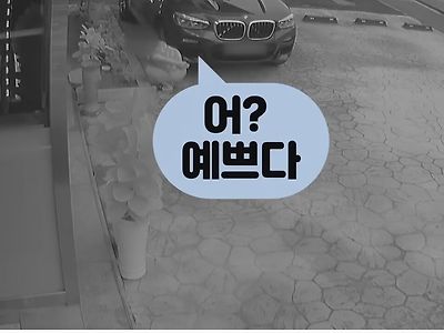 남의 화단의 나무를 뽑아가는 사람 ㄷㄷ.JPG