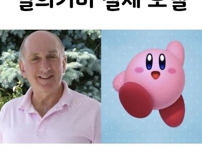 별의커비 실존모델