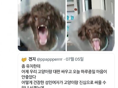 진짜 너무 싸운 것 같음