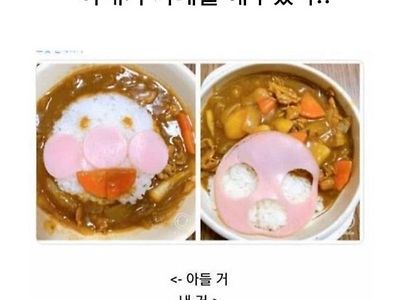 아내가 카레를 해주었다.