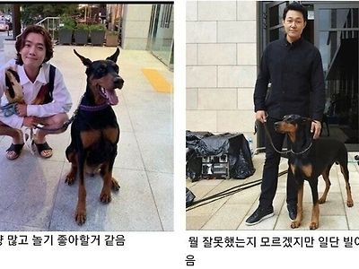 견종보다 주인 이미지가 중요한 이유