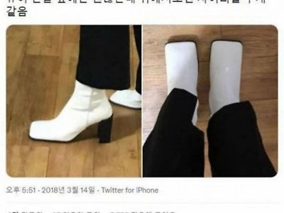 구두를 샀는데 자일리톨이 왔다