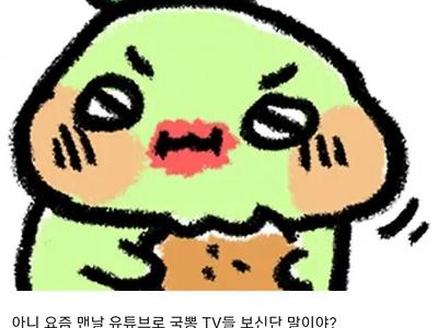 국뽕 TV에 빠지신 아버님