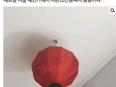 희귀한 물건대결