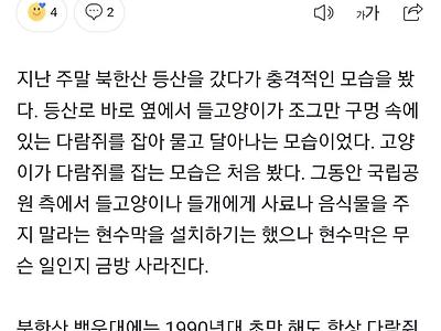 요새 다람쥐 보기가 힘들어진 이유