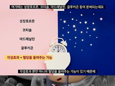아침밥을 안먹어도 되는 이유.jpg