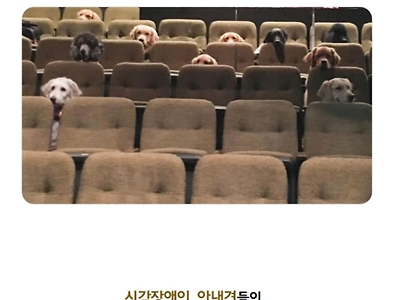 강아지들이 극장에 모인 이유
