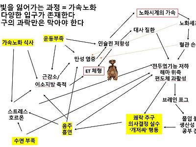 우리가 빛의 속도로 가 될 수 있다면.twt