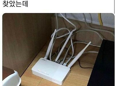 애플펜슬 떨궈서 어디갔나 한참 찾았는데.jpg