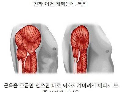 인간의 개쩌는 능력중의 하나