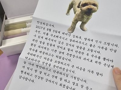 입양 보낸 강아지가 편지를 보내왔다