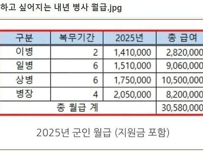 재입대 하고 싶어지는 내년 군대 월급 .