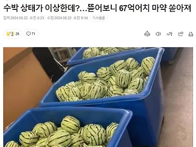 싱글벙글 67억짜리 과일