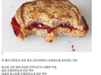 한국에 잘 안알려진 땅콩버터+딸기잼 토스트