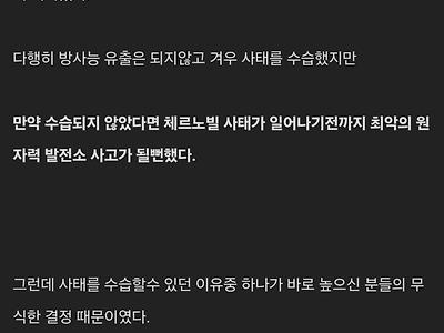 "방사능 유출? 그거 이렇게 하면 되는거 아니냐?"